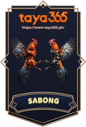 Taya365 Live Sabong