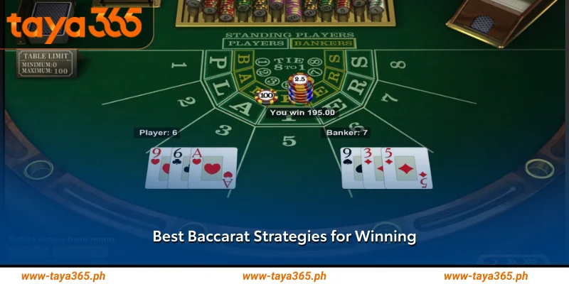 Best Baccarat Strategies for Winning