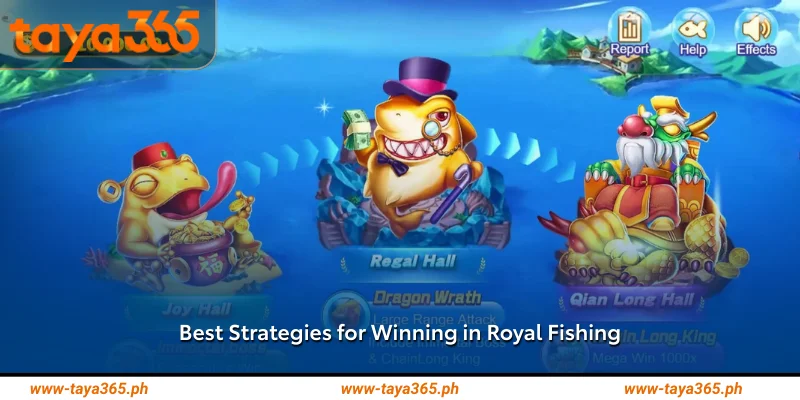 Best Strategies for Winning in Royal Fishing