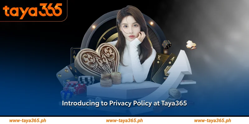 Introducing to Privacy Policy at Taya365